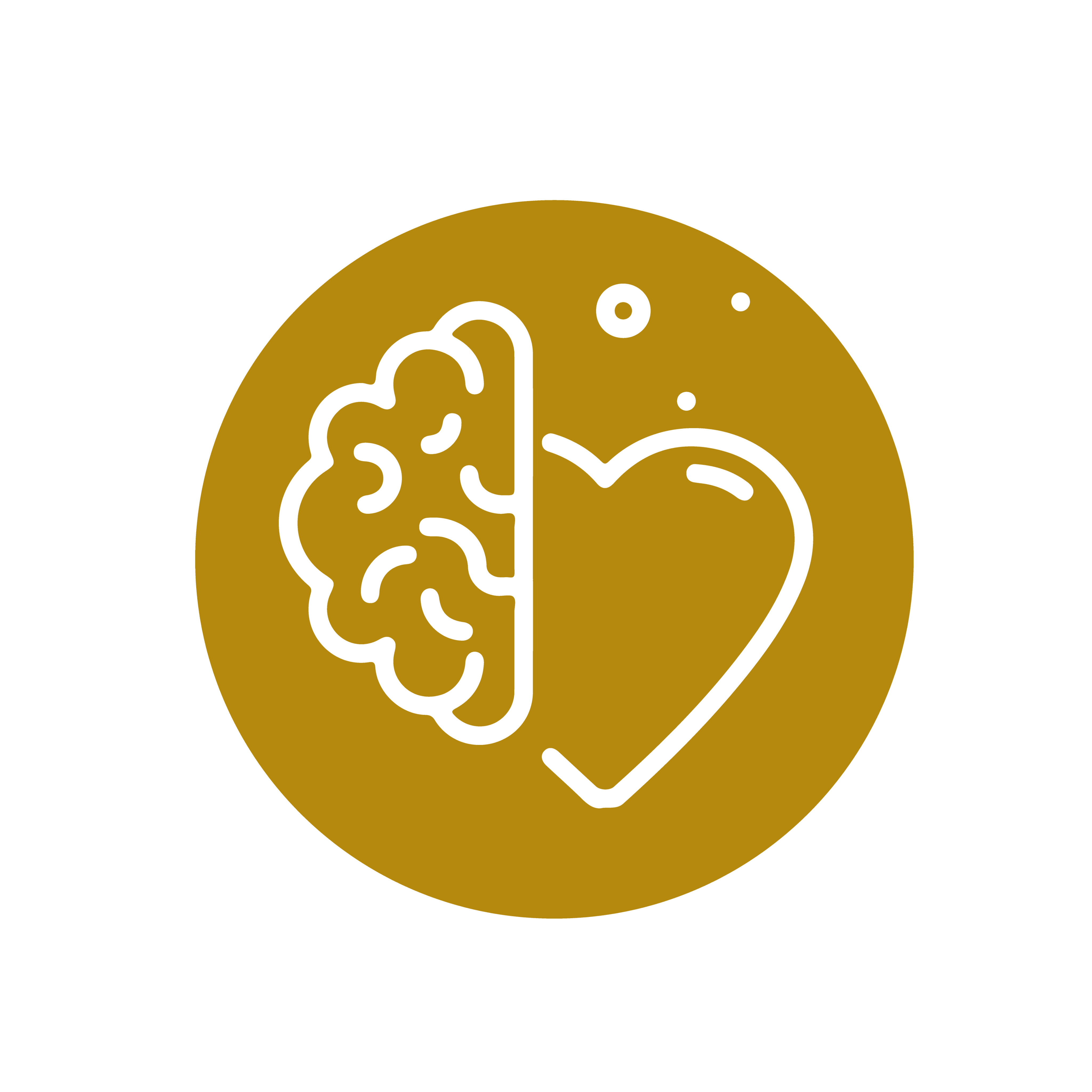 Saúde cerebral e cardiovascular